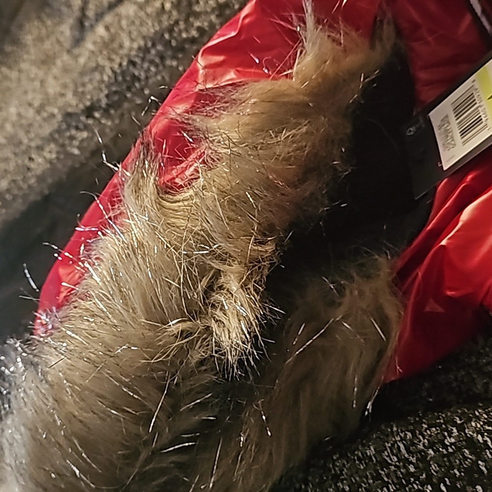 Jacket - Picture 4 of 4